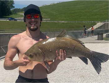 ALEXANDER BROWN's Bigmouth Buffalo 32inch, 07-19-26