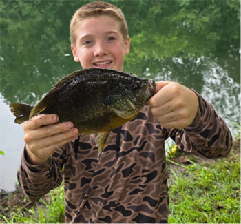 Asher Ballard's Green Sunfish 11.5inch, 07-25-26