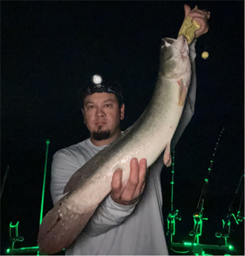 DUC NGUYEN's Bowfin 27.5inch, 08-01-26