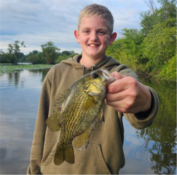 Mason Ristvedt's Rock Bass 8inch