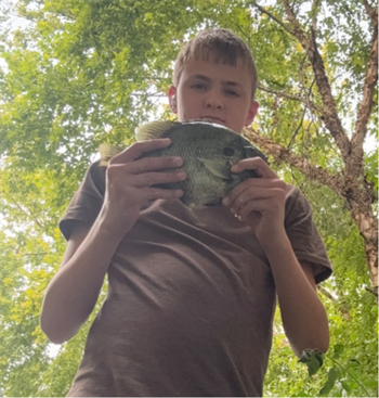 HENRY WEMMIE's Redear Sunfish 11inch, 08-08-26