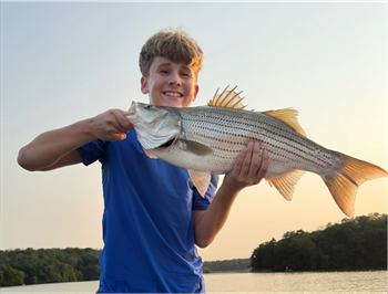 Oliver Tuttle's Wiper (Hybrid Striped Bass) 27.5inch, 08-10-26