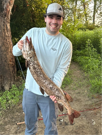 LUCAS WHITE's Northern Pike 37inch, 08-12-26