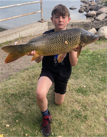 Logan Levi's Common Carp 33inch, 06-28-26