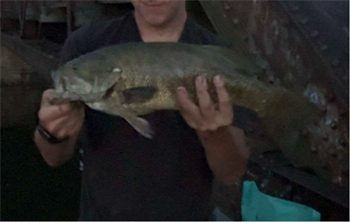 SHAYNE GROESBECK's Smallmouth Bass 20inch, 08-16-26