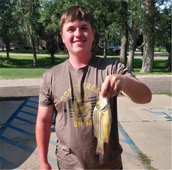 COYER KALVIG's Yellow Bass 11.75inch, 08-18-26