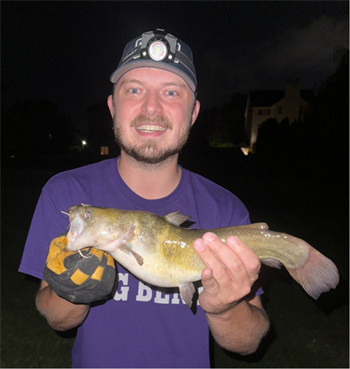 MATTHEW BENTLEY's Yellow Bullhead 15inch, 08-19-26