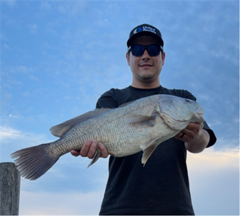 Mason Merritt's Freshwater Drum 25.5inch, 08-20-26