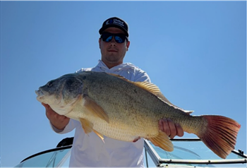 MASON MERRITT's Freshwater Drum 31inch, 08-21-26