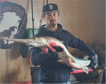John Riniker's Longnose Gar 52.5inch, 08-27-26