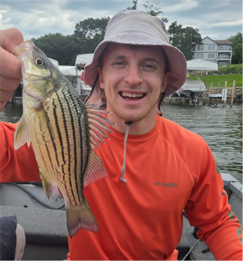 GAVIN MILLER's Yellow Bass 10.25inch, 08-29-26