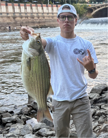OWEN SAWYERS's Wiper (Hybrid Striped Bass) 24inch, 08-30-26