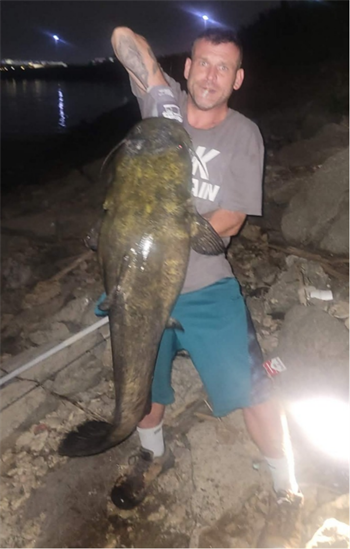 DANIEL KURTH's Flathead Catfish 46inch