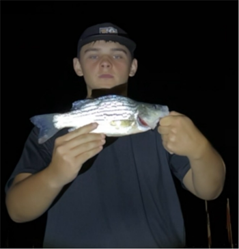 AYDEN CLARK's Yellow Bass 11inch