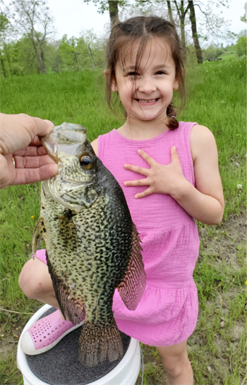 Charlee Miguel's Black Crappie 14inch
