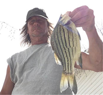 Lonnie Terfehn's Yellow Bass 12.25inch, 05-14-22