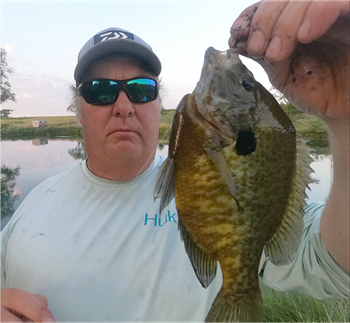 Michael Olson's Redear Sunfish 11inch, 08-01-22