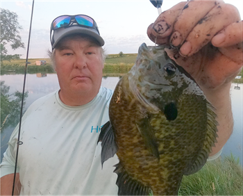 Michael Olson's Redear Sunfish 11.25inch, 08-01-22