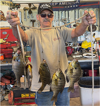PAUL PRICHARD's Bluegill 10.15inch, 06-16-26